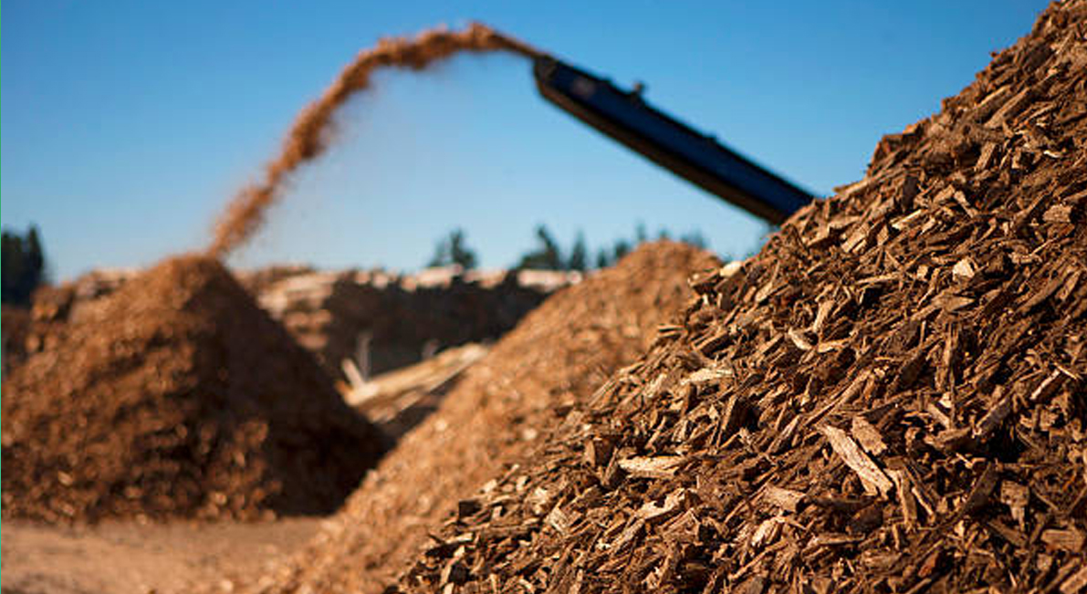 Producción y uso de biomasa en la UE