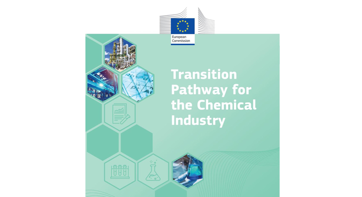 Calling for Action: Supporting the Transition Pathway for the Chemical Industry