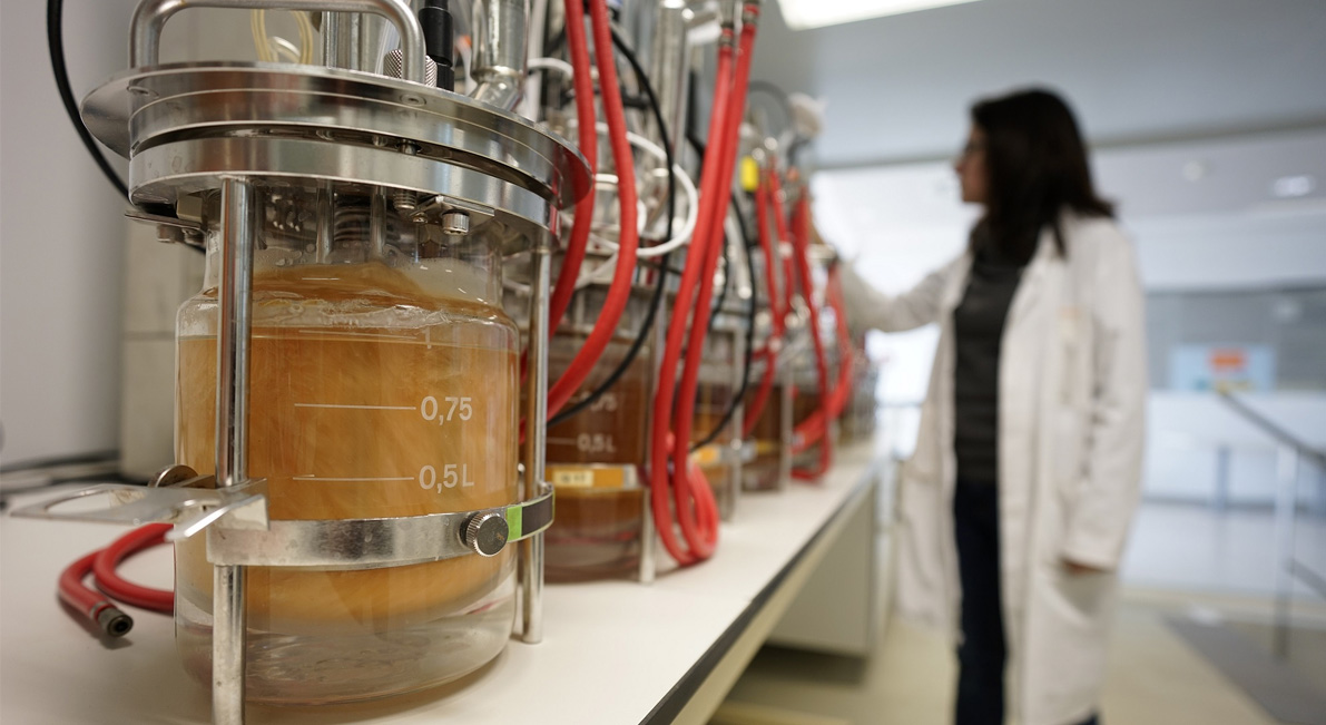 AINIA desarrolla biofactorías de microorganismos para obtener sustancias industriales más sostenibles